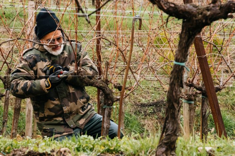 Primo Festival italiano del Potatore. In Franciacorta il 9 marzo il Pruning contest ideato da Simonit&Sirch