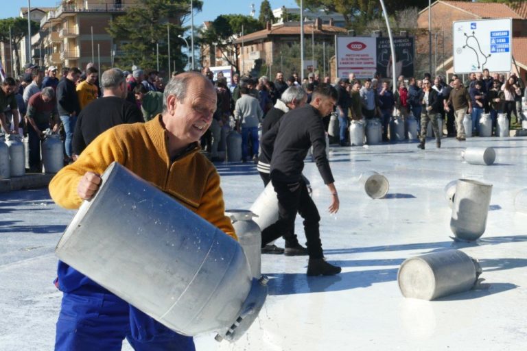 Protesta latte, in Maremma i pastori svuotano i bidoni. Solidarietà per i colleghi sardi