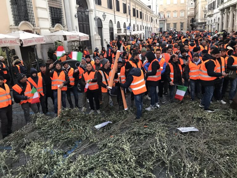 Xylella e gelate in CdM ma con disegno di legge. Gilet Arancioni traditi: «Una porcata. Puglia diventa una polveriera senza decreto promesso»