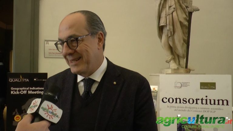 DOP e IGP. De Castro: dobbiamo crescere di più all’estero