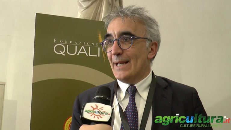 Acqua, agricoltura e cibo, il programma Prima promuove innovazione e ricerca nel Mediterraneo