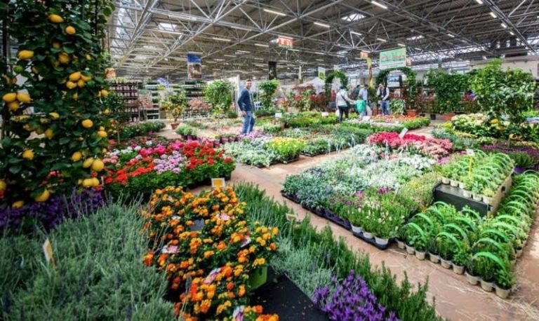 Orti, giardini e vita in fattoria. Weekend con Viva la Terra a Carrarafiere