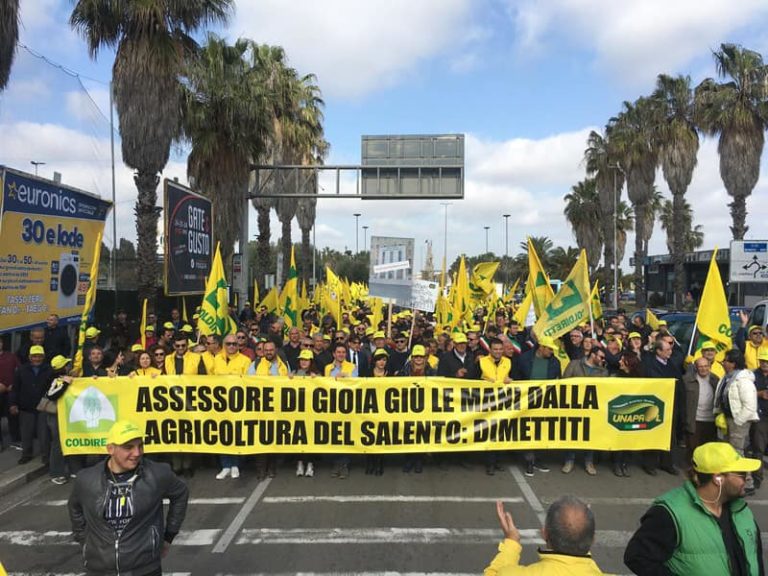 Strage di olivi in Puglia, la Xylella avanza di 2 km al mese. Coldiretti in piazza: «Assessore Di Gioia dimettiti»