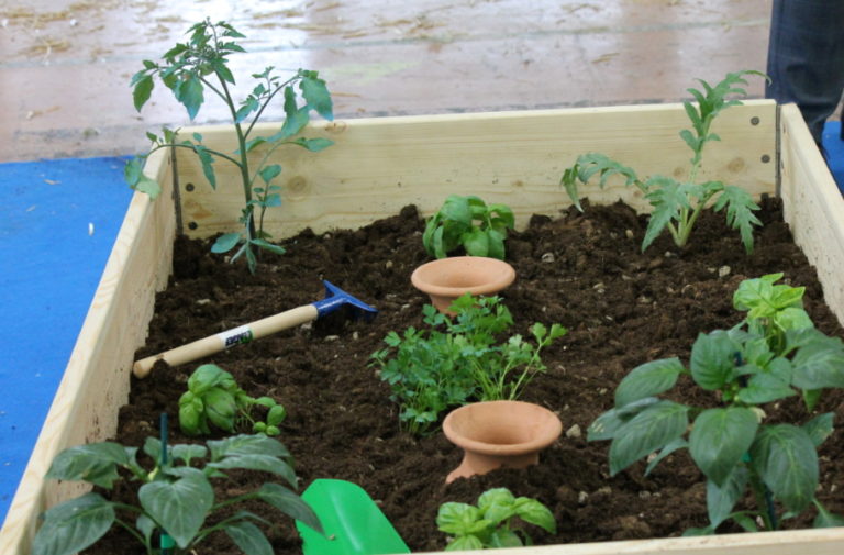 Viva la Terra! Orto, giardino e vita in fattoria: fiera a Carrara il 30 e 31 marzo 2019