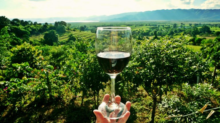 80 voglia di Romagna. Vini e vignaioli alla Rocca di Bertinoro il 5 maggio