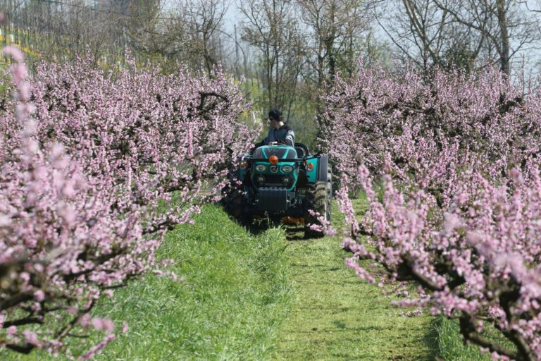 Frutteti e vigneti. Arbos in campo con la full line degli specializzati