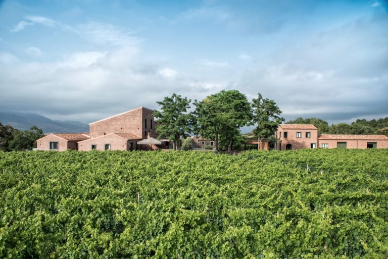 Terroir autentico. Firriato al Vinitaly punta sull’Etna