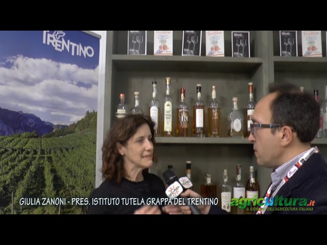 Grappa del Trentino che passione. Boom dei cocktail e grande appeal per un prodotto per tutte le età