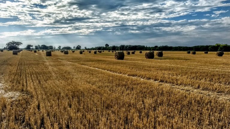 Seminiamo il Futuro. Presentazione nuovo bando Banca nazionale delle Terre Agricole