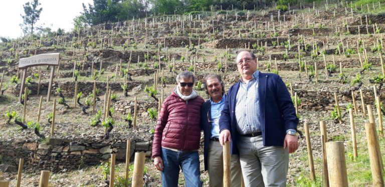 La viticoltura eroica fra paesaggio e biodiversità. Focus spagnolo con il Cervim