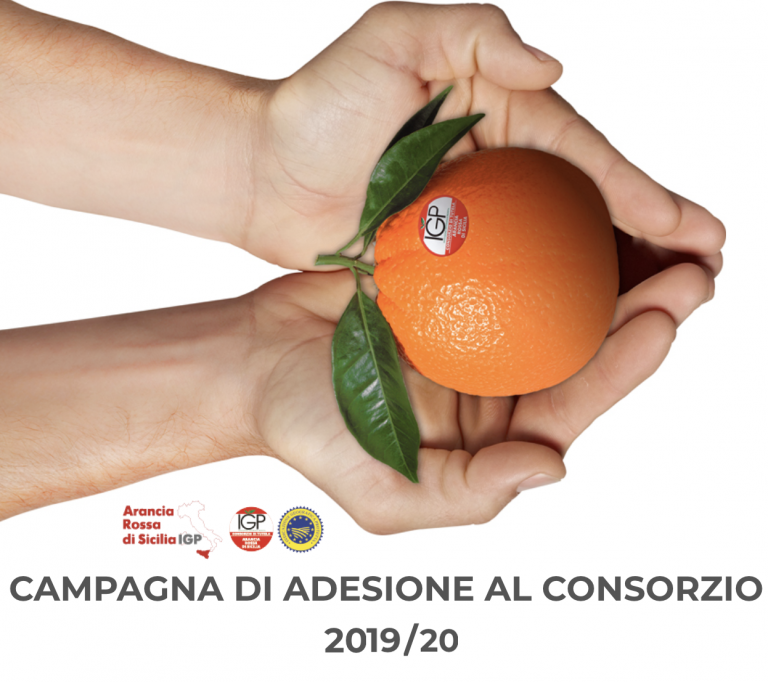 Agrumi. Arancia Rossa di Sicilia IGP: aperta la campagna adesioni 2019-2020