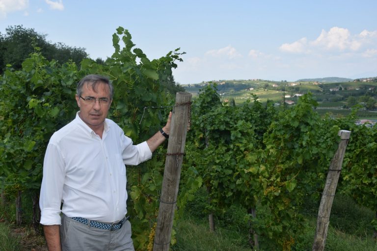 Vigneti eroici e storici, in arrivo decreto ‘targato’ Cervim . Gaudio: confidiamo su stanziamento di adeguate risorse per dare applicazione al Decreto