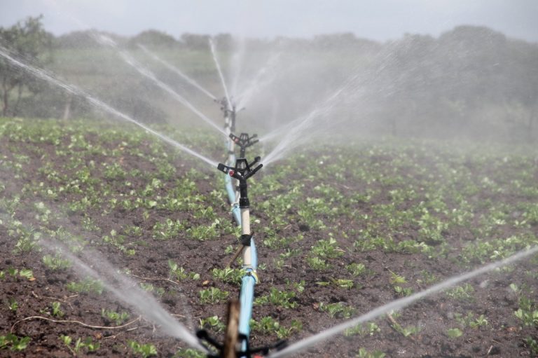 Risorsa idrica in agricoltura con infrastrutture più efficienti e di qualità. Ricerca in corso nel Mediterraneo per un modello sostenibile