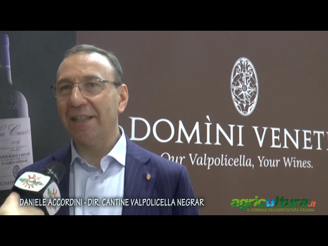 Domini Veneti grandi vini in Valpolicella puntando sulla sostenibilità