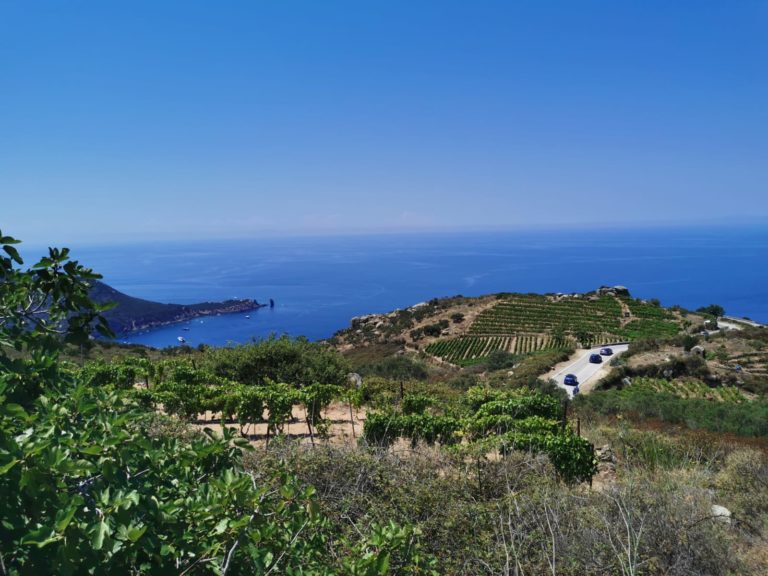 Pesca toscana. Ittoturismo ed agricoltura: i progetti della cooperativa “Laudato Sii” all’isola del Giglio