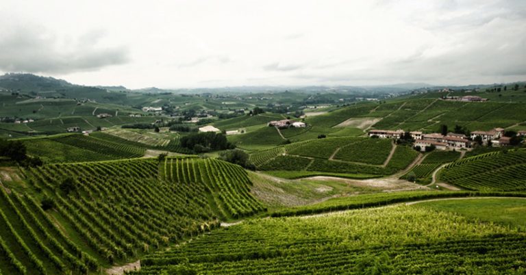 Barolo, Barbaresco e Roero, l’eccellenza vinicola è servita. A gennaio è tempo di ‘Grandi Langhe’