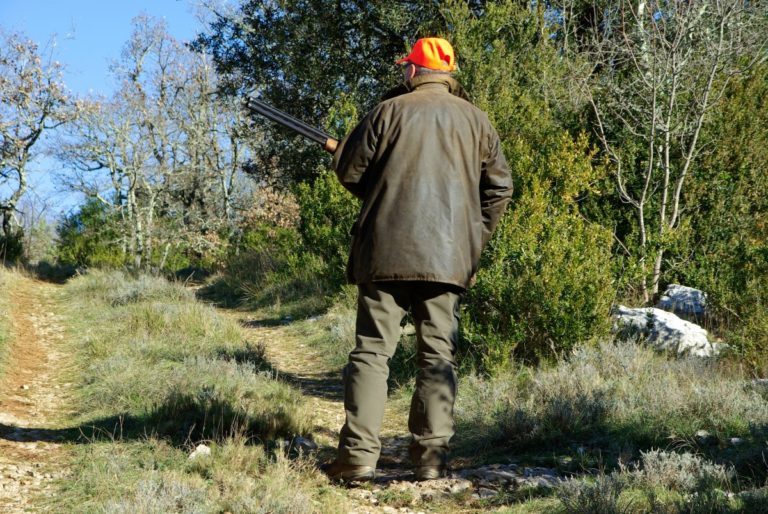 Cinghiali e storni. Al via in Puglia la caccia di selezione ordinata dalla Regione. Cia Puglia: ci hanno ascoltato