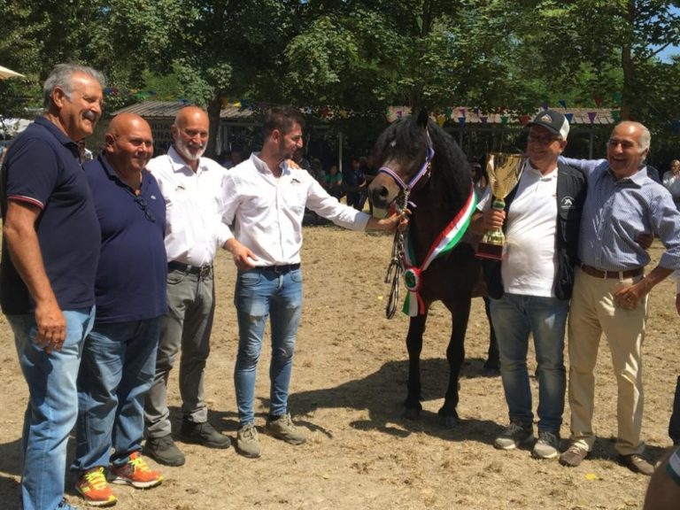 Mostra nazionale del Cavallo Bardigiano. 200 esemplari per un successo senza precedenti