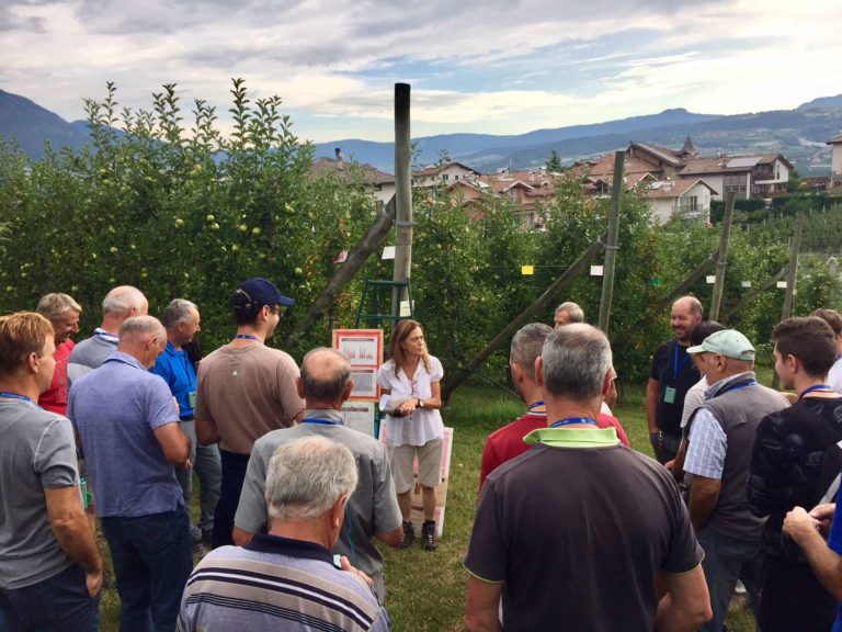 Maso Maiano apre le porte. Focus su difesa, allevamento, nuove varietà e distribuzione agrofarmaci