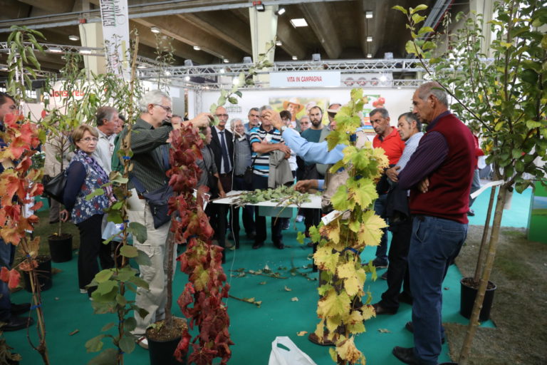 Verde e hobbistica ad Agrilevante 2019. Dal 10 al 13 ottobre a Bari