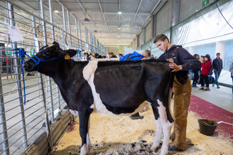 Il settore alimentare cerca 43mila posti di lavoro. Alle Fiere Zootecniche di Cremona edizione all’insegna della formazione specialistica