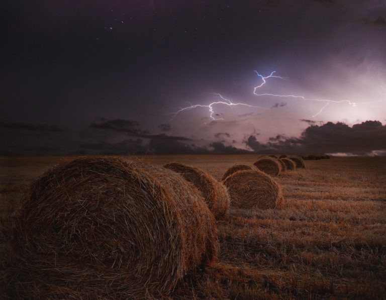 Cambiamenti climatici in agricoltura: quanto ci stiamo adattando? Uno studio del CREA