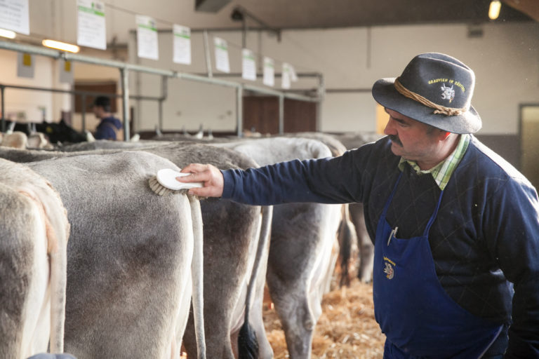 In origine il maso. Verso Agrialp 2019, dal 7 al 10 novembre a Fiera Bolzano