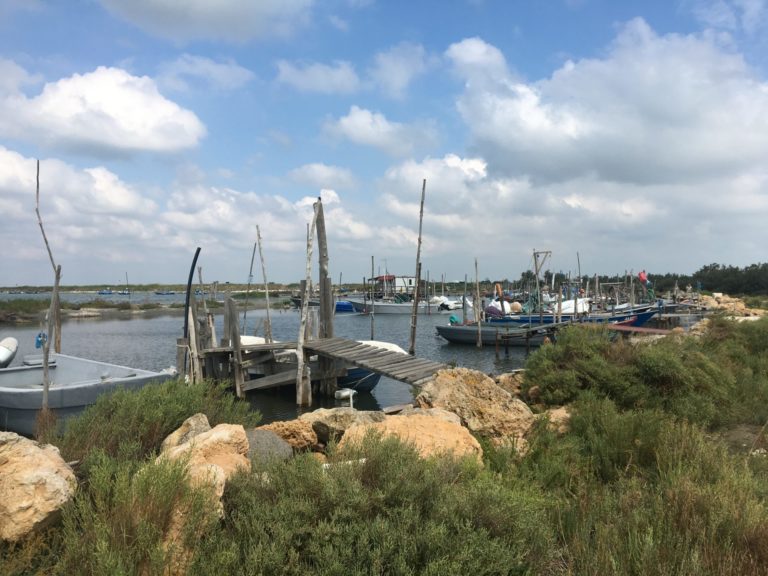 Una pesca sostenibile per i pescatori del Polesine. Sfida nel segno della qualità del cibo e del lavoro