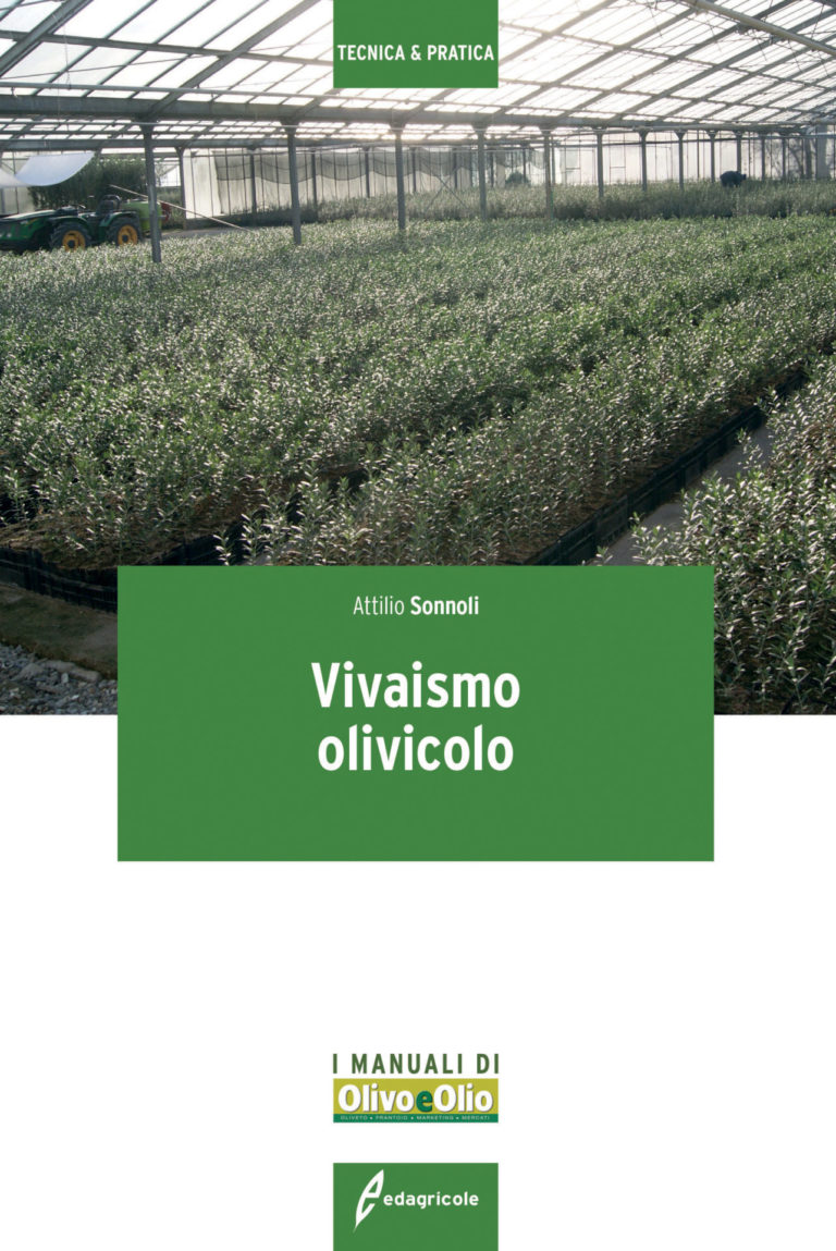 Vivaismo olivicolo. In un manuale il livello di efficienza, i limiti ed i punti di forza