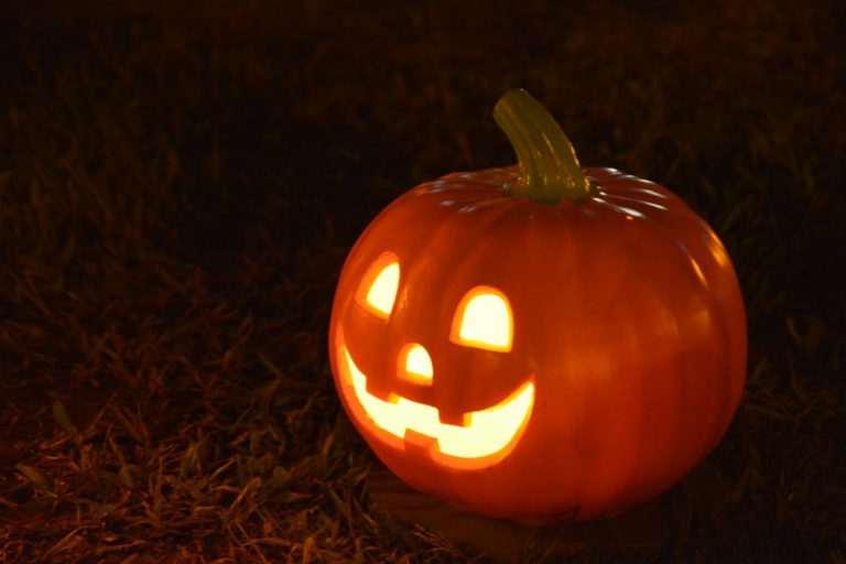 Halloween, Borsa della spesa: zucche, prezzi oscillano da 0,60 a 1,20 euro/kg. Castagne stabili da 3 a 7 euro/kg