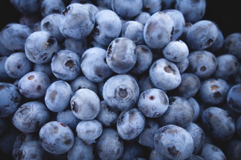 Macfrut 2023 capitale mondiale del Mirtillo: International Blueberry Days