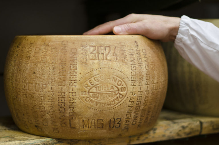 PARMIGIANO