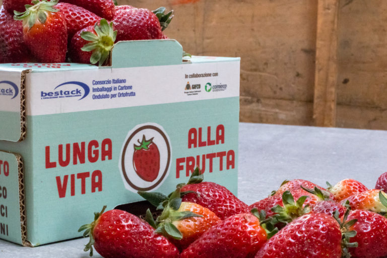 Fragole, -10% spreco e 18 mln risparmiati in Gdo con pack Attivo Bestack: studio Unibo in Coop Alleanza 3.0