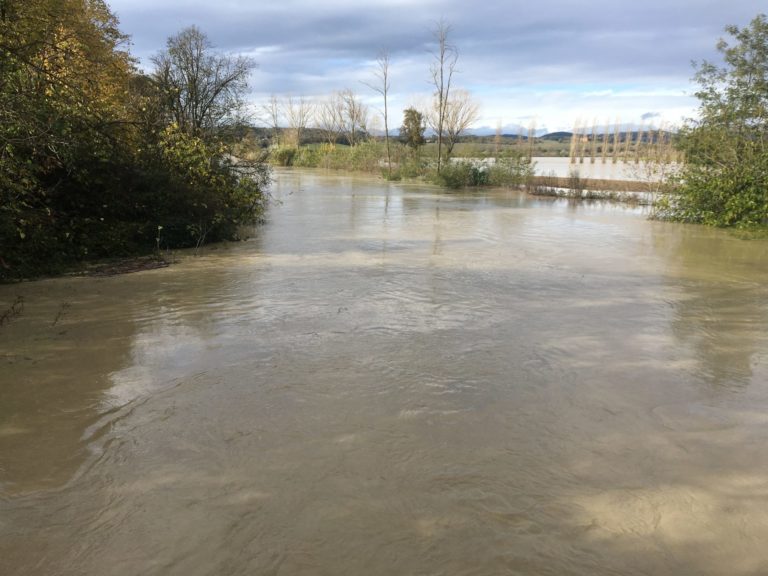 Campi allagati nel Veronese, semina dei cereali compromessa e ortaggi sott’acqua