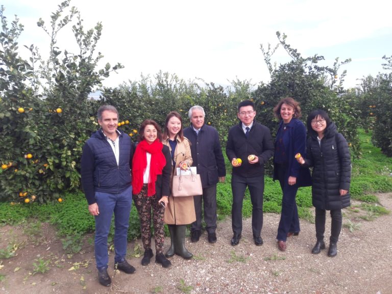 Arancia Rossa di Sicilia IGP sulla viadella Cina. A Catania visita al Consorzio di tutela IGP del Ceo di Beske China impor