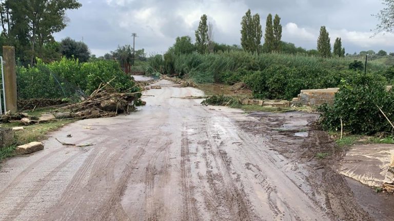 Maltempo, la peggior estate del decennio. Gravi danni nelle campagne