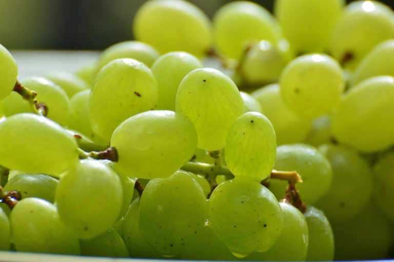 Caldo. In Sicilia in ginocchio vitivicoltura e uva da tavola. Cia, dichiarare stato di calamità naturale