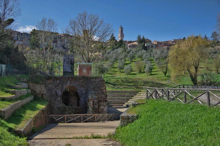 La Toscana patria dell’olio extravergine d’oliva: oltre 90mila ettari, 80 varietà autoctone per 15 milioni di piante d’olivo