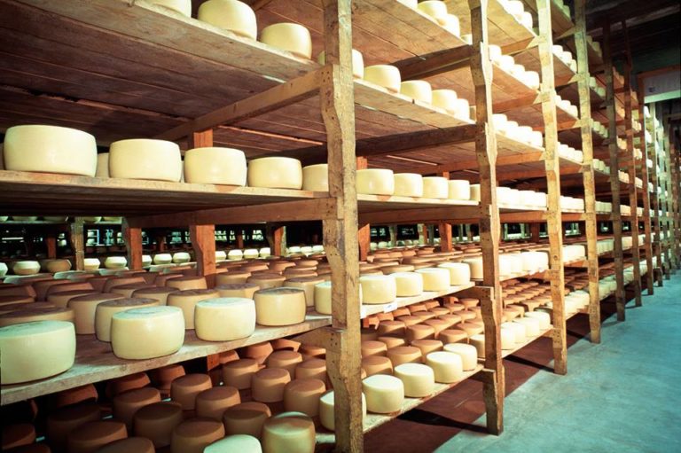 Dop. Il Pecorino Sardo maturo è lattosio free. I risultati di una indagine del Consorzio