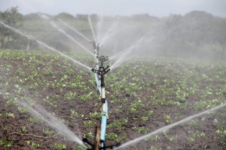 Acqua. La Sicilia è la zona più umida d’Italia. Il nord con sempre meno risorse idriche. L’Osservatorio Anbi dà i numeri