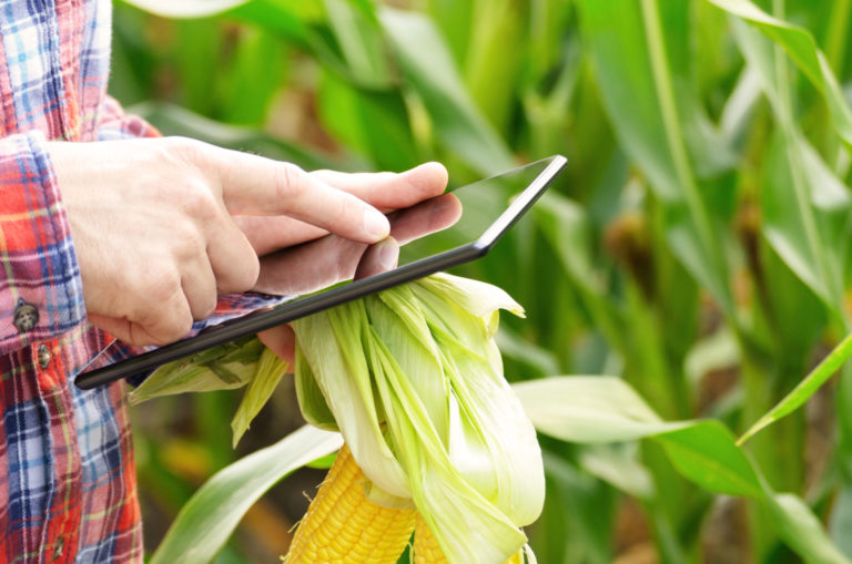 Agrorobotica. Un sistema di intelligence per individuare gli insetti nocivi e ridurre l’uso di pesticidi