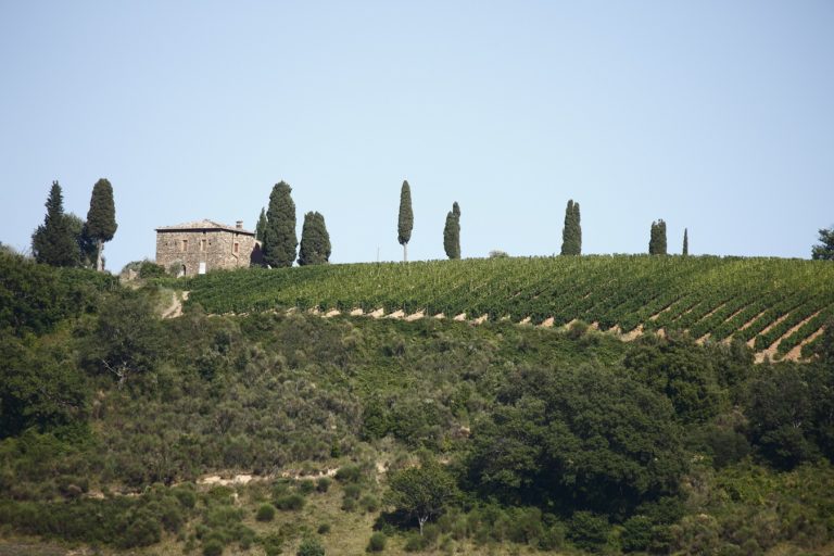 Brunello, in cantina rende più dei bond. Nei caveau 400 milioni di vino sfuso