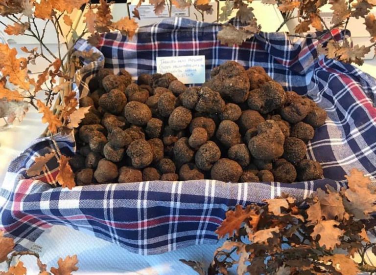 Tartufo e prodotti tipici. Al via la 57esima edizione di Nero Norcia