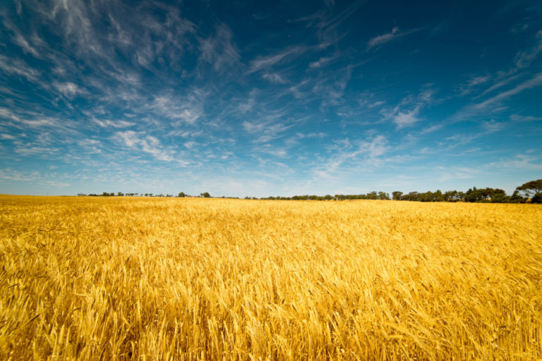 Governo USA sostiene gli agricoltori. Meno oneri alle aziende e doppio raccolto annuale