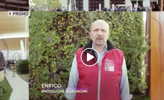 Piantato un albero che continuerà a crescere. Gli Agronomi salutono Expo 2015 Milano con lo spot Rai