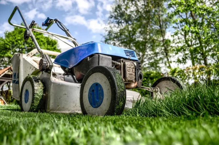 Macchine per il gardening. Nel 2024 le vendite tornano in attivo (+1,5%) superando gli 1,37 milioni di unità vendute