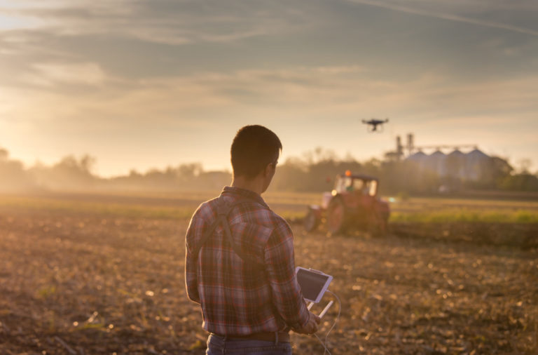 Fondo per l’innovazione in agricoltura a 1.106 domande per 69 milioni di euro. Zaganelli: Ancora una volta da ISMEA istruttorie in tempi record