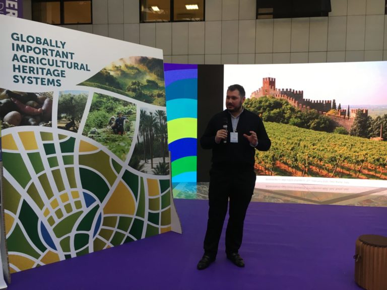 Soave protagonista alla FAO. Migliora l’indice di biodiversità sui vigneti