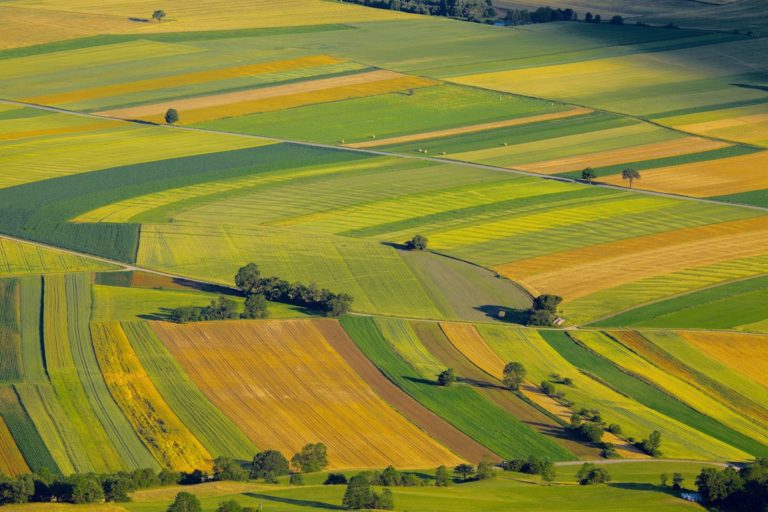 Suolo. La perdita di sostanza organica, la maggiore preoccupazione. Il convegno del CREA per la giornata mondiale della terra