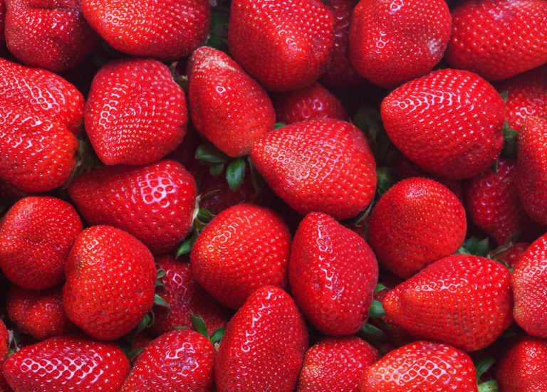 Coronavirus. L’International Strawberry Symposium rimandato al 2021